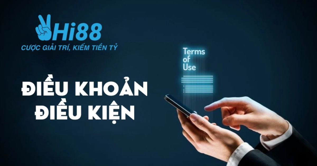 Điều khoản và điều kiện về quyền, trách nhiệm của người dùng