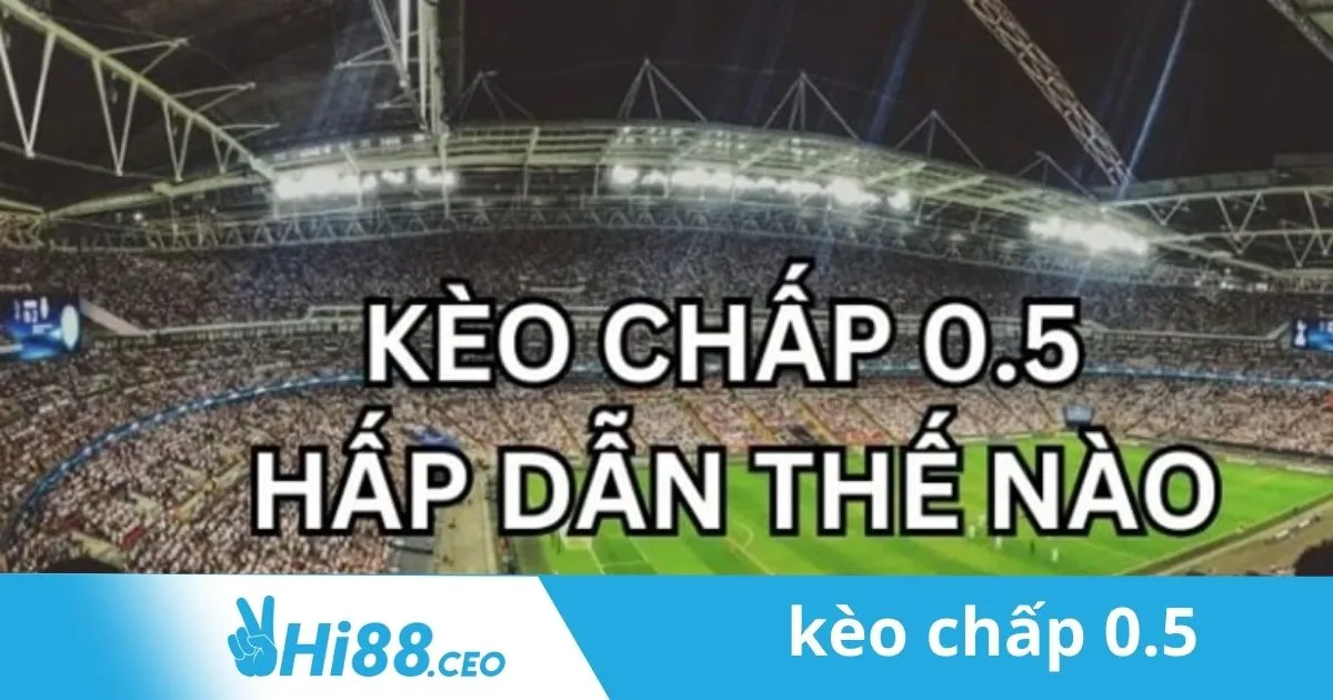 Đặt Kèo Chấp 0.5 Thành Công Tại Hi88